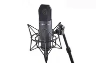 Peavey Studio Pro M1